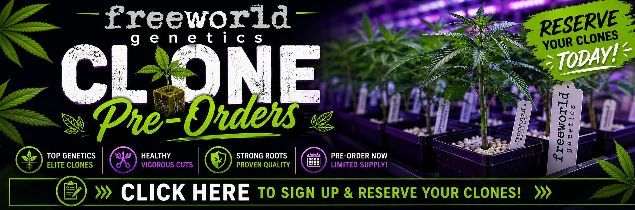 legit disposable vape sites CBD Disposable Vapes | Live Resin Pens