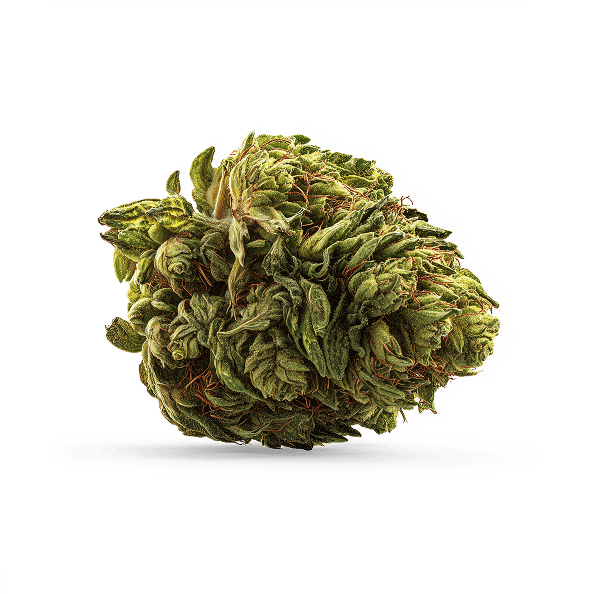 Flower icon