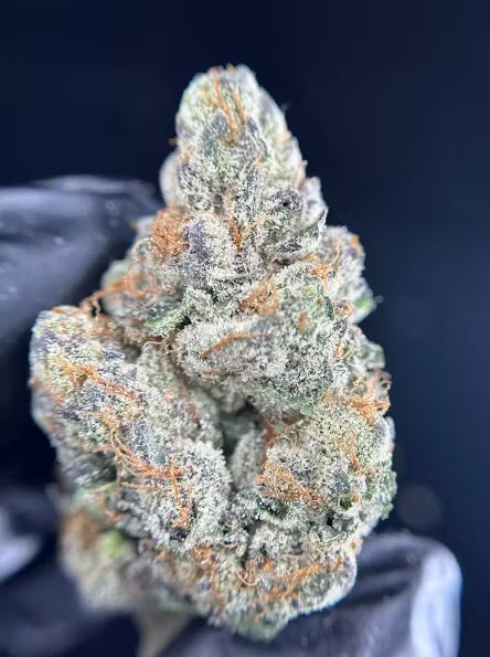 GRAPE APE | 3.5G