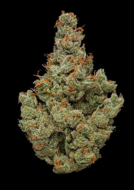 J1 | 3.5G - 3.5g | Flower | CLADE9 | SilverLeaf (Rec) | 1743 New