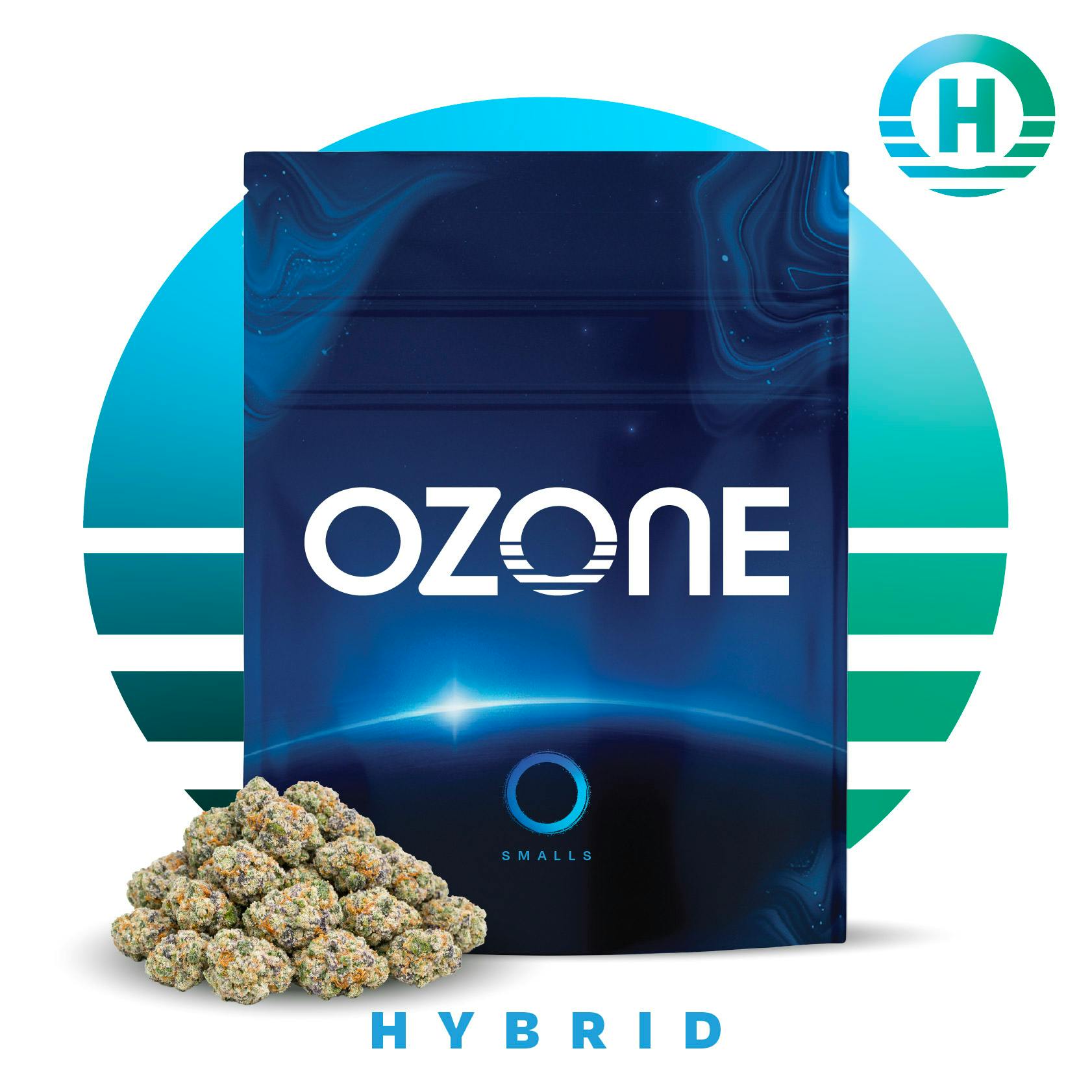 RAINBOW CHIP | POPCORN | 7G - 7g | Flower | OZONE | SilverLeaf